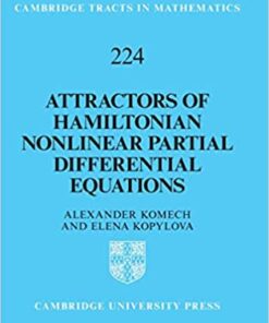 Attractors of Hamiltonian Nonlinear Partial Differential Equations (2021, Cambridge University Press) - 9781316516911