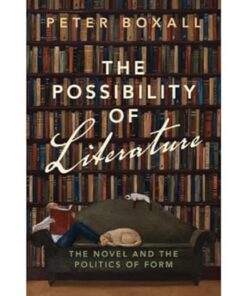The Possibility of Literature The Novel and the Politics of Form