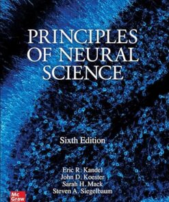 Principles of Neural Science 6th Edition