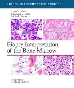 Biopsy Interpretation of the Bone Marrow (Biopsy Interpretation Series)